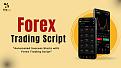Haga clic en la imagen para ver una versión más grande

Nombre:	forex-trading-script.jpg
Visitas:	9
Size:	138,0 KB
ID:	84260